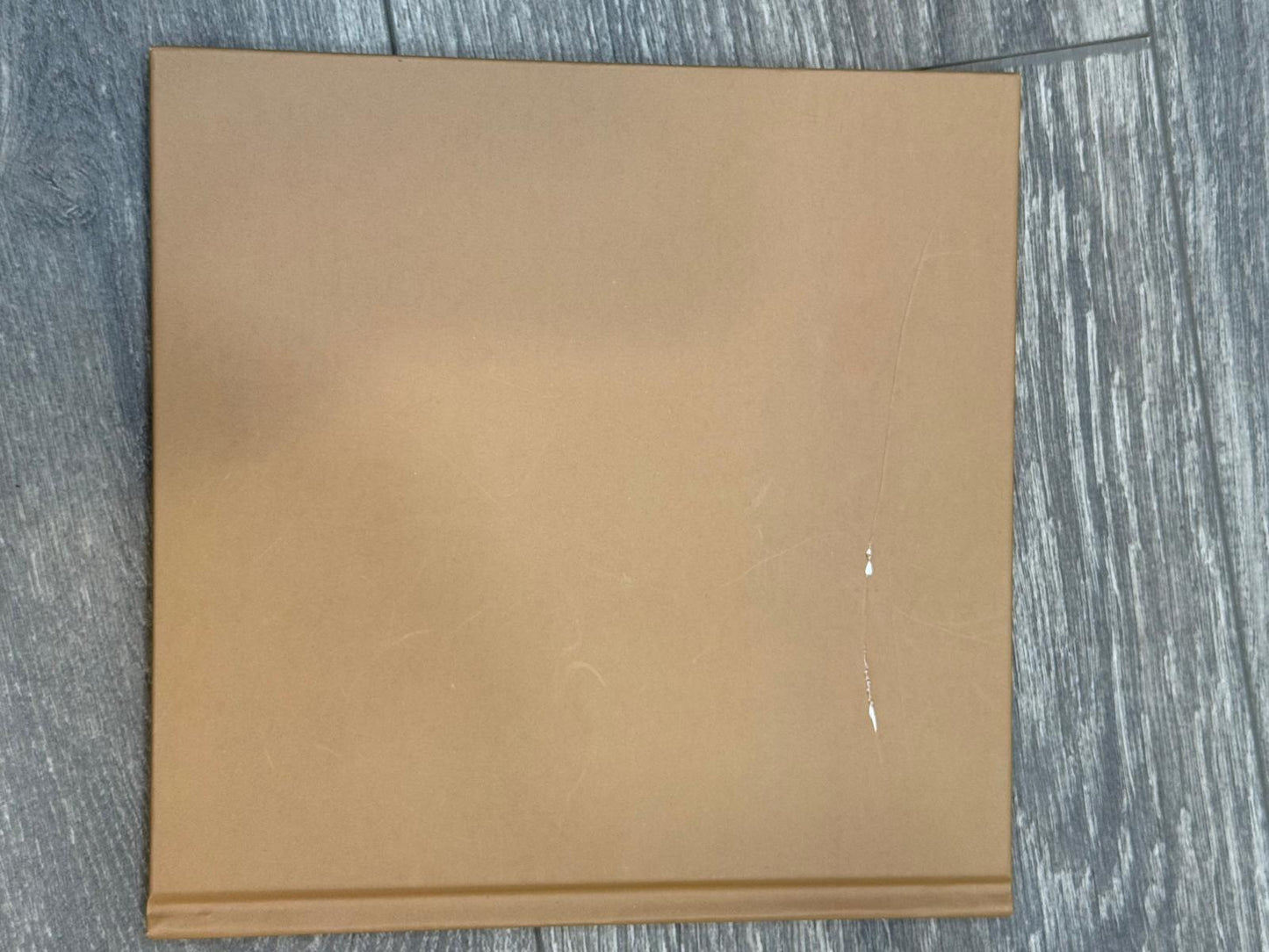 An Only Nut by Sara Becker (English) Hardcover Book