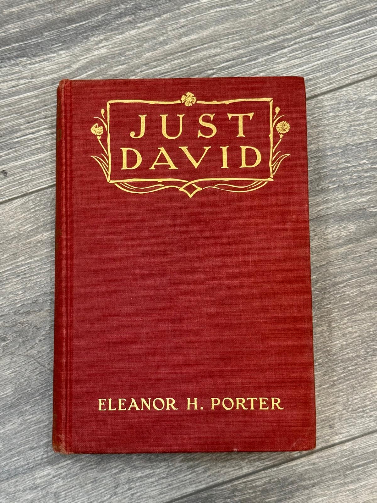 Just David by Eleanor H. Porter. RARE VINTAGE  illustrated