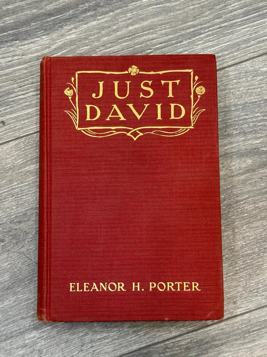 Just David by Eleanor H. Porter. RARE VINTAGE  illustrated