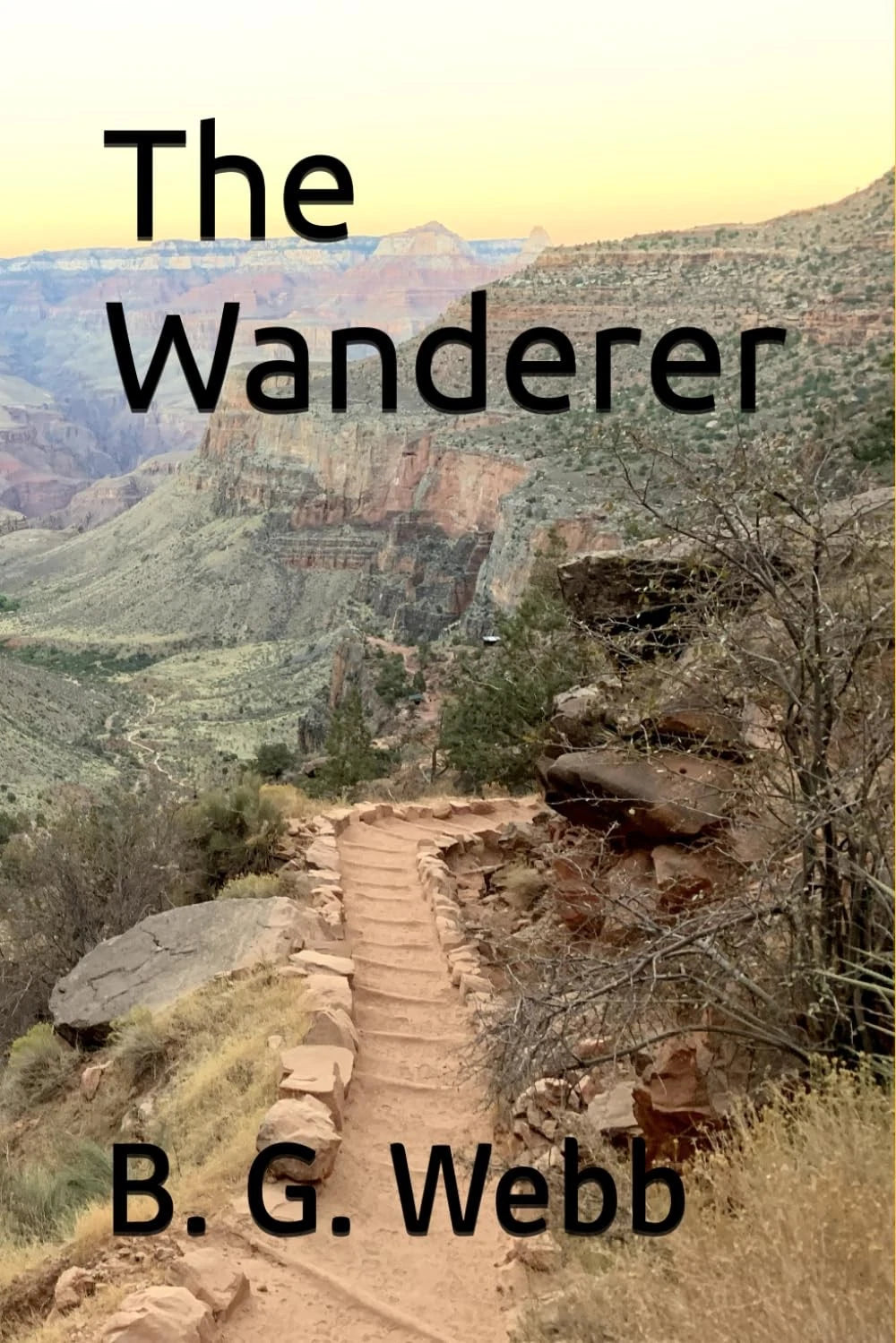 The Wanderer